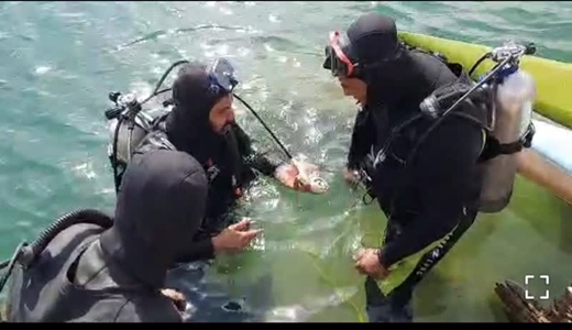 رئیس سازمان آتش‌نشانی و خدمات ایمنی شهرداری سنندج: